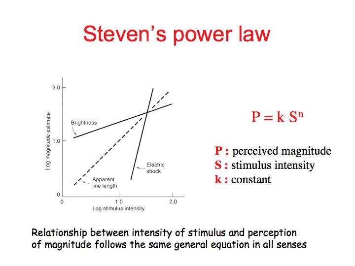 Stimulus Anatomy Definition Anatomical Charts & Posters